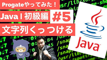 Java Ⅰ初級編：5.Javaで文字をくっつける？😁✨文字列の連結【Progateやってみた】