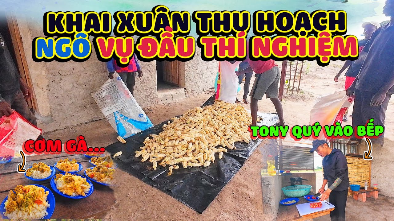 Outline Video Khai Xuân..TONY QUÝ Lên Tiếng Về 3 Anh FEDDY..DOMINGO..VICTORY