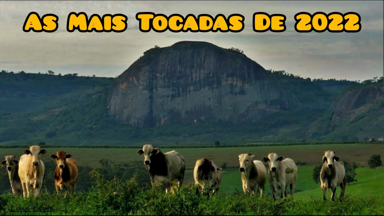 AS 5 MAIS TOCADAS DE 2022 - Ivan Souza & Júlio César