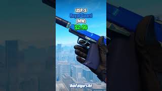 The Best Budget USP-S Skins in CS2 #cs2 #csgo