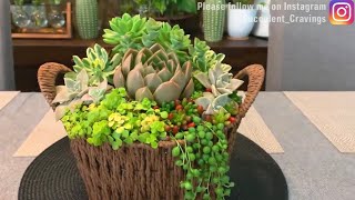 Suuculent Arrangement in Rope Basket by SUCCULENT CRAVINGS by Vic Villacorta 1,579 views 6 days ago 9 minutes, 59 seconds