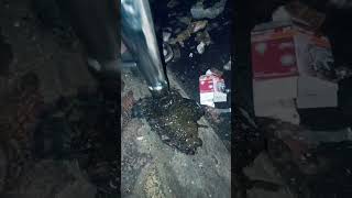 rajdoot silencer cleaning
