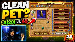 Wizard101 Pet Guide: Clean Pools, 45 Pedigree & 2.0 Stats Explained