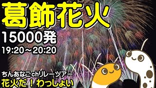 葛飾花火 19:20～20:20 15000発 　ライブ配信【ちんあなご】花火だわっしょい2025