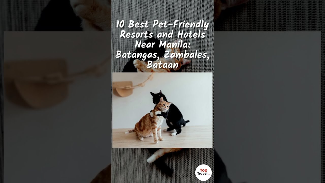 Top 10 Pet-Friendly Resorts and Hotels Near Manila