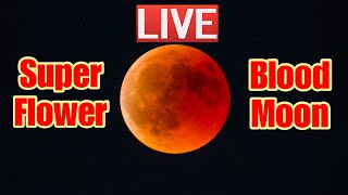 Super Flower Blood Moon Lunar Eclipse Live In Japan Youtube