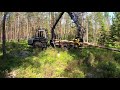 MALWA 560 harvester and forwarder in thinning