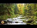 Relaxing Music, Healing Music, Meditation Music, Music, Sleep, Zen, Study Music, Nature Sounds ☯3767