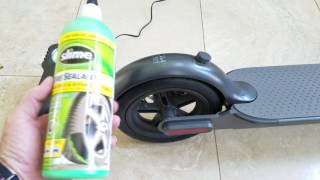 Xioami Mijia M365 EV Scooter - Must Do Tips!