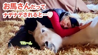 お馬さんだってナデナデされると…♡