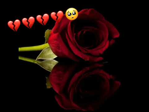 يارب خذني إليك فأنا أشعر بأنني إكتفيت وجعا من هذه الدنيا