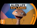 Exploring the Possibility of Alien Life