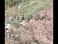 جمال ابو قردان في الريف المصري