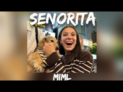 Shawn Mendes Camila Cabello Senorita Speed Up