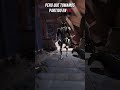 ACCION CINEMATROGRAFICA VR en REACH