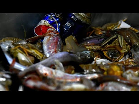 Video: Welche Meere Waschen Italien