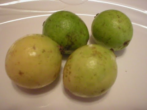 Guava 101 - How to Prepare Guava