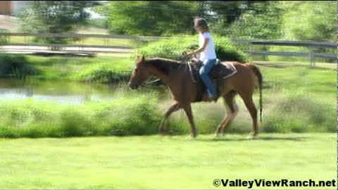 Valley View Ranch - Just Crio  ***For info, price, etc., go to our website***