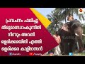 കാത്തിരുന്നു സ്വന്തമാക്കിയ കൊമ്പൻ | Olarikkara Kalidasan | E for Elephant | Kairali TV