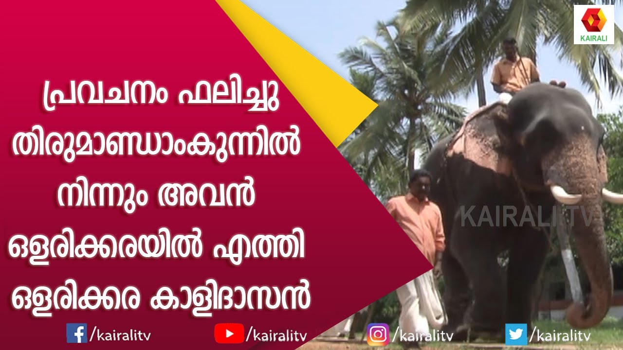 കാത്തിരുന്നു സ്വന്തമാക്കിയ കൊമ്പൻ | Olarikkara Kalidasan | E for Elephant | Kairali TV