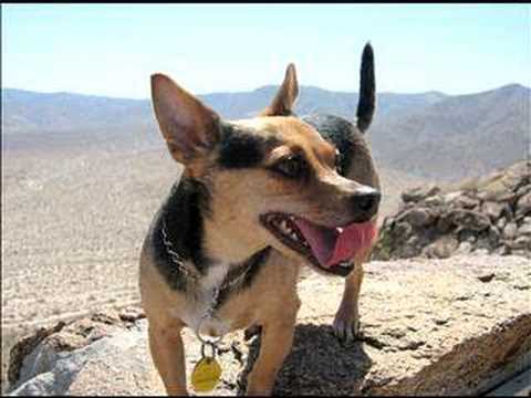 Anza Borrego Off-Road 2007