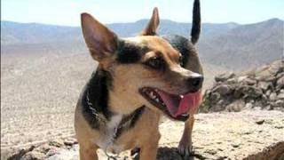 Anza Borrego Off-Road 2007