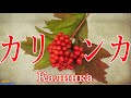 カリンカ Калинка