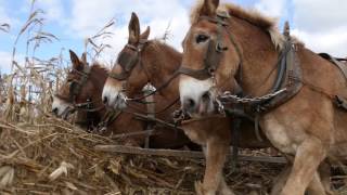 Preservation  - Lancaster County, PA Agriculture