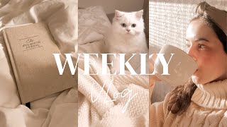 WEEKLY VLOG - Back to routine + Content day + Zara/H&M haul by Tamara Mehhook 1,416 views 2 years ago 25 minutes