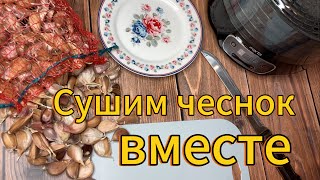 Сушим и измельчаем чеснок 🧄 #рецепт