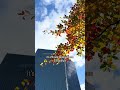 Frankfurt, but make it Gilmore Girls-coded