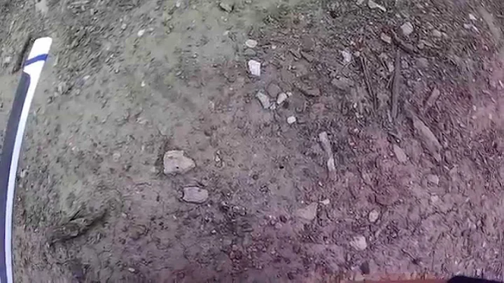 v450d03 testing new yep 60a esc n tx setting/ small crash( a bug in my eye )