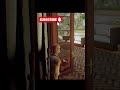 My favorite mission in Hitman 1 #agent47 #hitman2 #hitman3 #hitmanloveheee #hitman #hitmanpubg