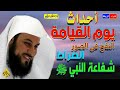 أحداث يوم القيامة ** النفخ في الصور** البعث والنّشور** الحوض والصراط ** الشفاعة العظمى للنبي محمد ﷺ🌹