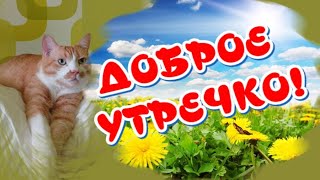 Самое Доброе Утречко🥰Прекрасного настроения🎶Музыкальная открытка для друзей