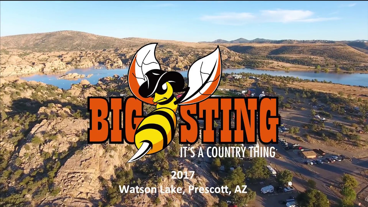 The Big Sting 2017