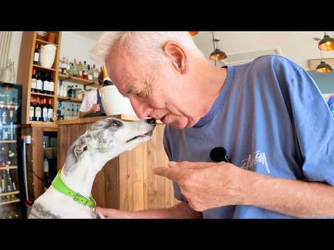 This video will make you want a whippet | Michael Barrymore