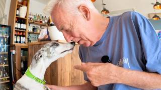 This video will make you want a whippet | Michael Barrymore