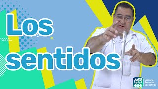 Cuidemos nuestros sentidos - Experimento casero