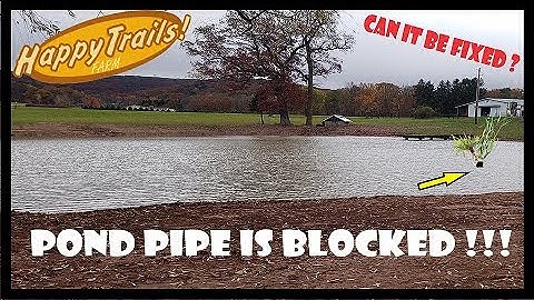 POND DRAIN PIPE IS BLOCKED. EP#21