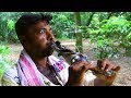 Snake Charmer flute | world most Unusual Musical Instrument ever