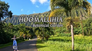 HOOMALUHIA Botanical Garden Hawaii on OAHU
