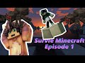 DÉBUT DE L'AVENTURE SUR MINECRAFT !