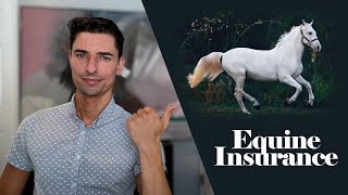 Hold Your Horses! A Guide to Equine Insurance