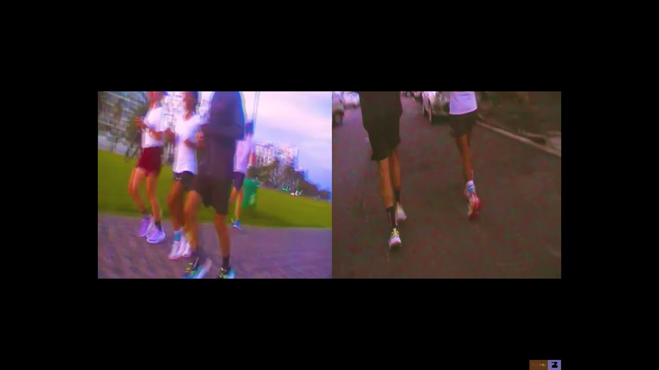 Watch Table View - Birds (Official Video) on YouTube Watch Table View - Birds (Official Video) on YouTube