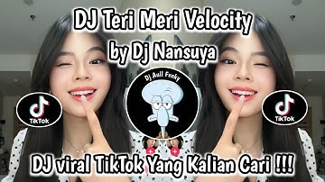 DJ TERI MERI BY NANSUYA | DANCE TREND VELOCITY | VIRAL TIKTOK TERBARU 2025 YANG KALIAN CARI ‼️
