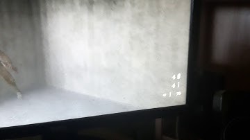 Cod 2 B2F mod - Running in place 🏃‍♂️