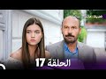 فضيلة هانم وبناتها الحلقة 17 النسخة المطولة  