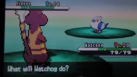 [Live] 5% Shiny Pidove after 1217 Random Encounters