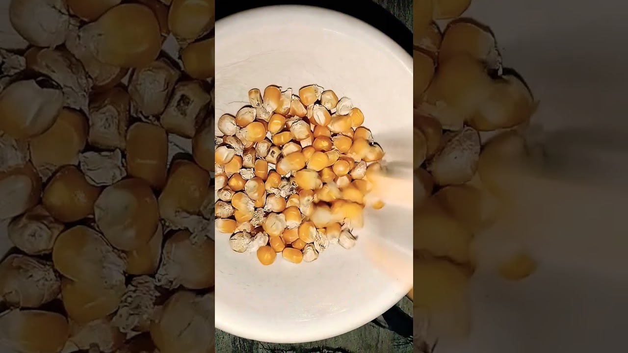 #youtubeshorts #recipe #shortsviral #shortvideo #noonionnogarlic #shortsfeed #shorts